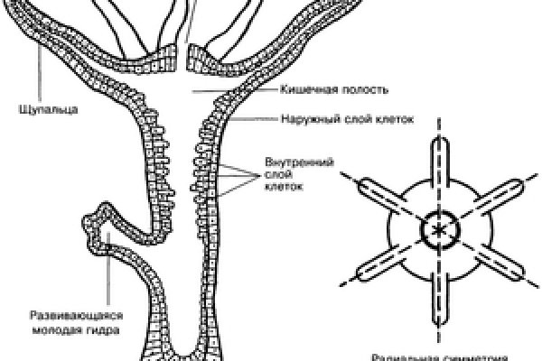 Кракен сайт магазин