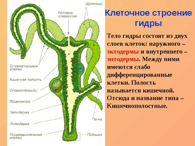 Вход в кракен даркнет